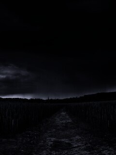 Поле ночью обои