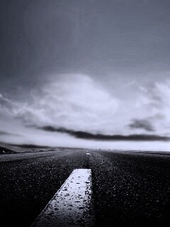 Дорога обои