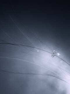 Оригинальные обои Windows 7 обои