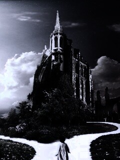 Ты выбираешь свой путь обои