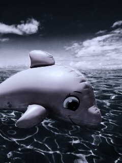 Надувной розовый дельфин обои