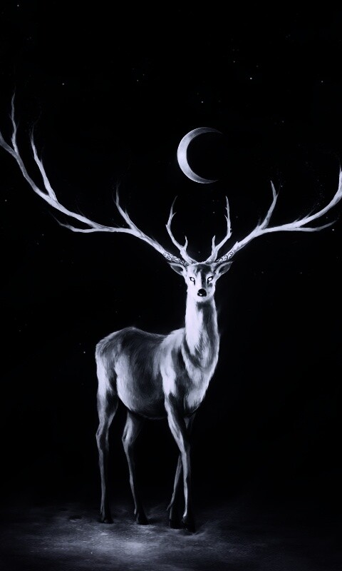 Олень в лунном свете обои