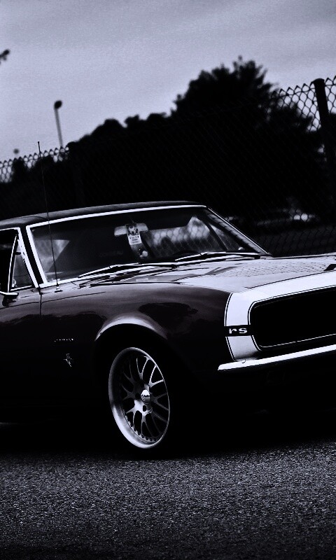 Красный монстор обои