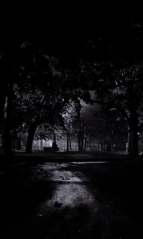 Ночной парк обои