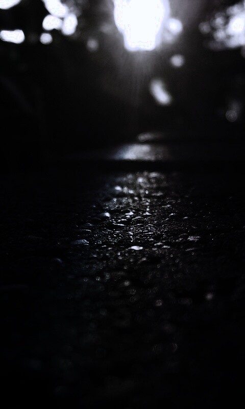 Макро радуга на камне обои