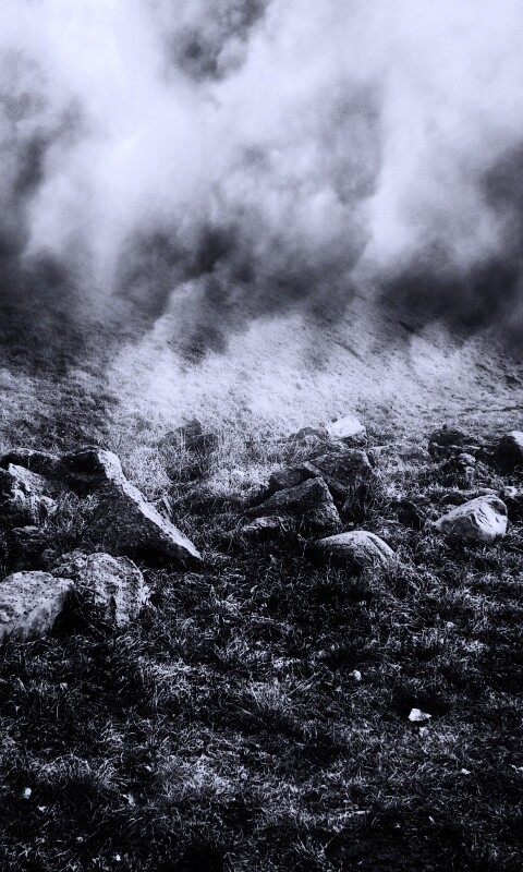 Туман на склоне обои