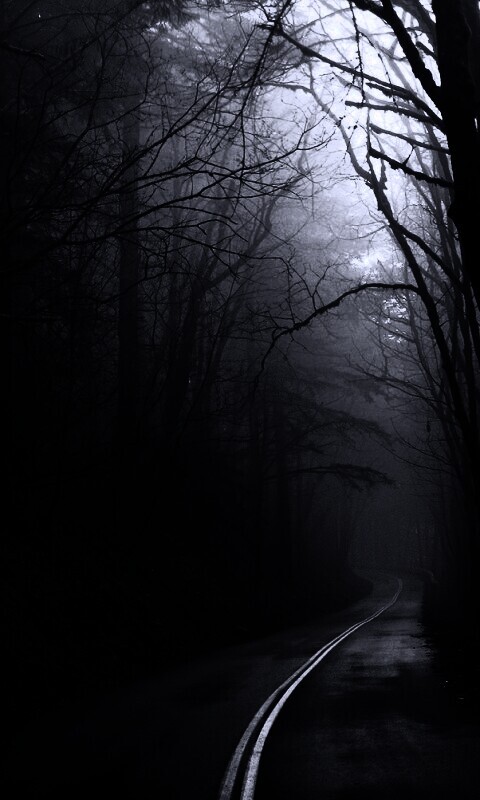 В туман обои