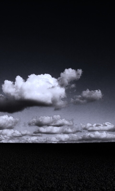 Обака над бескрайними полями обои