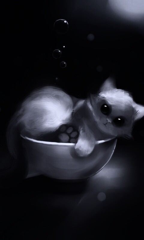 Котёнок в миске обои