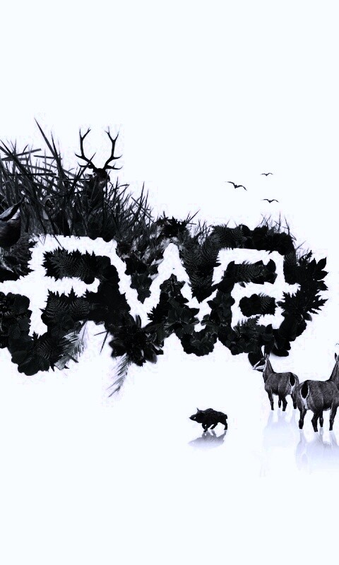 FWA обои