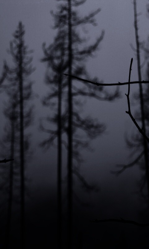 Безысходность обои