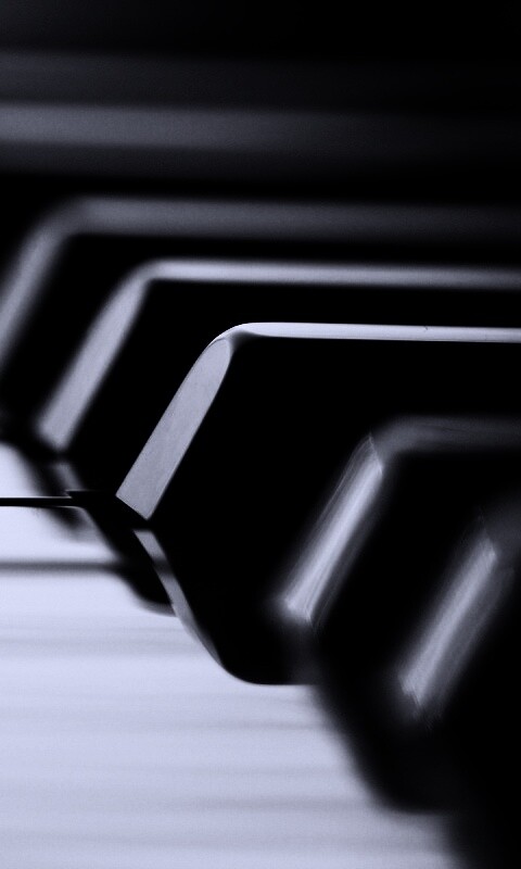 Клавиши  рояля обои