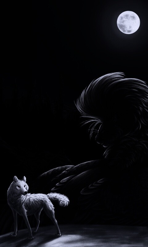 Волк и лев при луне обои
