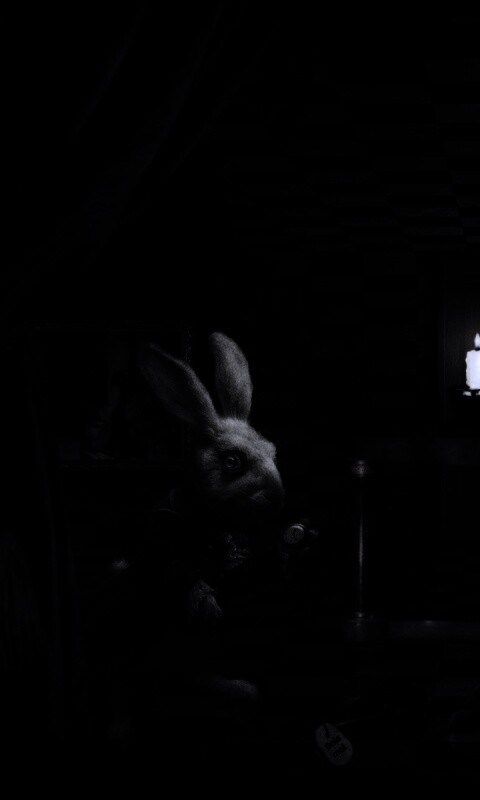 Алиса и белый кролик обои