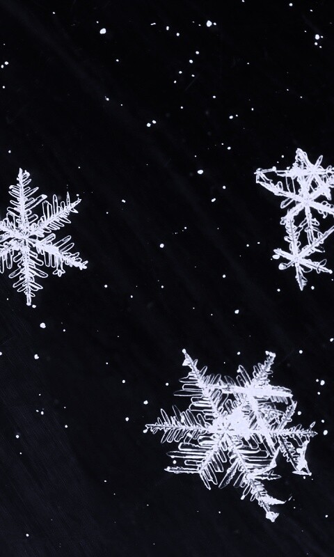 Снежинки обои