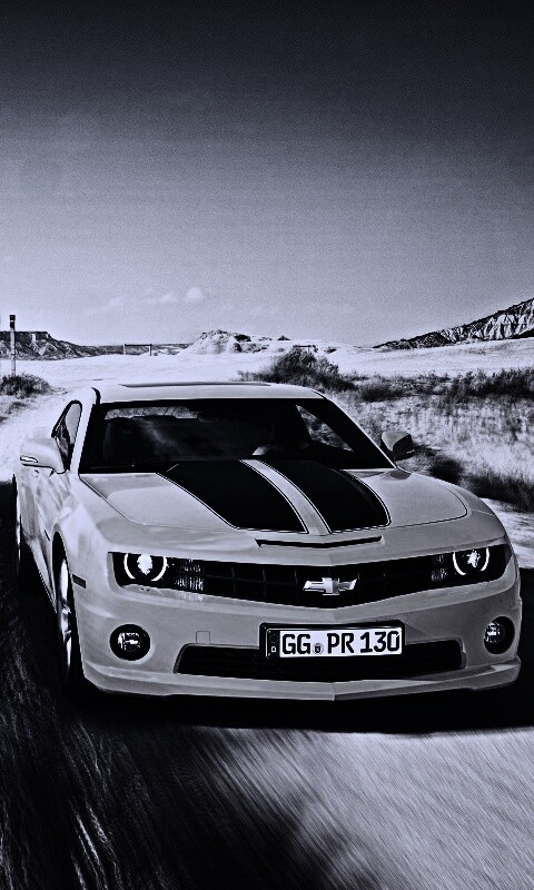 Камаро на пустынной дороге обои