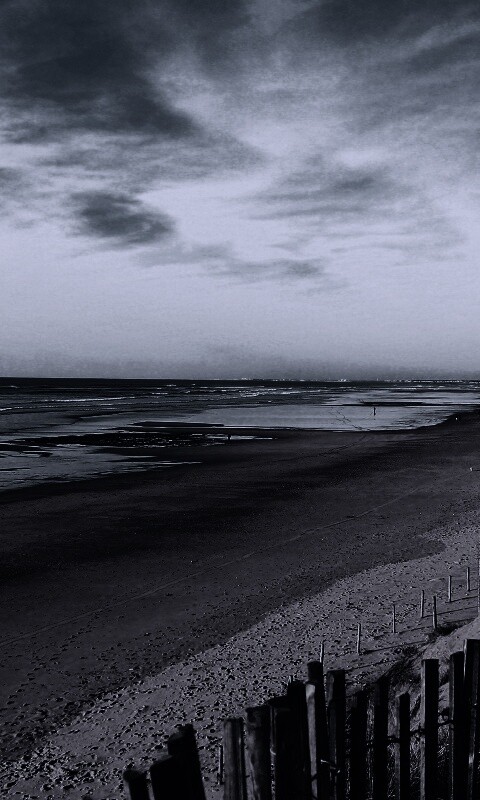 Обмелевший берег обои