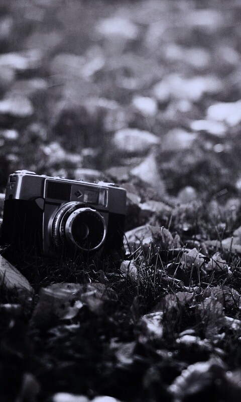 Старый фотоаппарат в траве обои