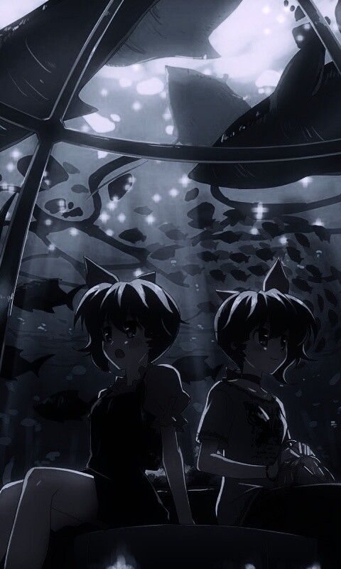 В океанариуме обои