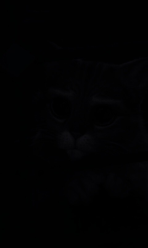 Кот в сапогах обои