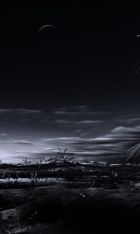 Флора и фауна другой планеты обои