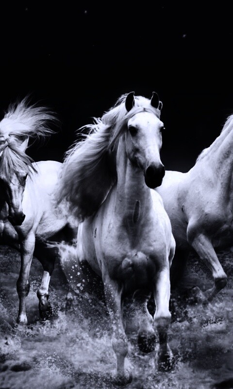 Тройка конец в море обои