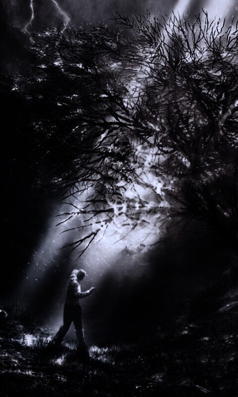 Горящее дерево обои