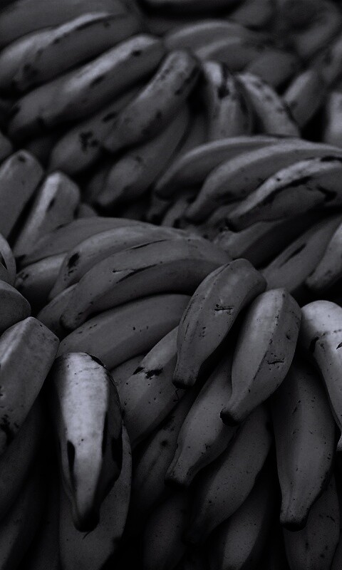 Много бананов обои