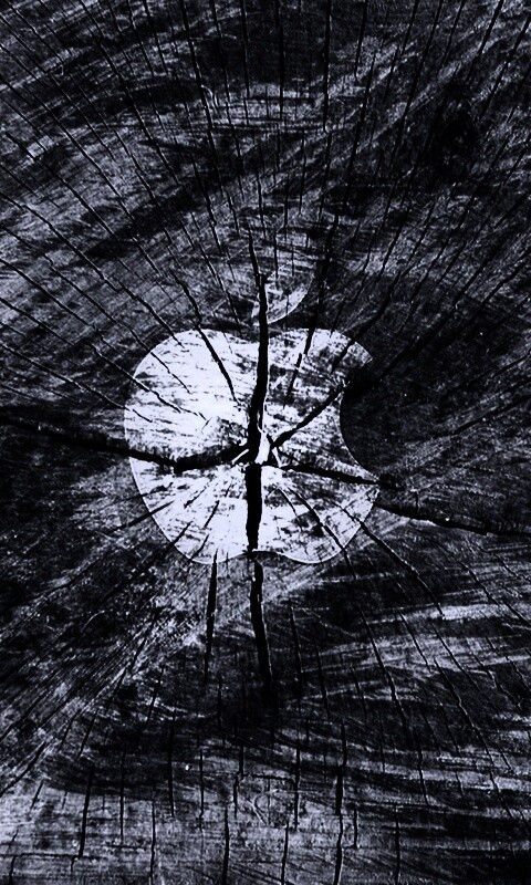 Логотип Apple на бревне обои