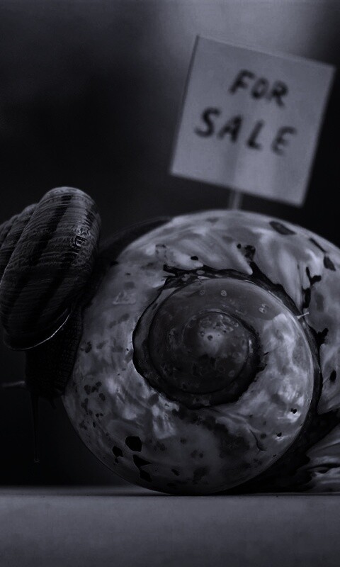 Улитка приматрвиает новый дом обои