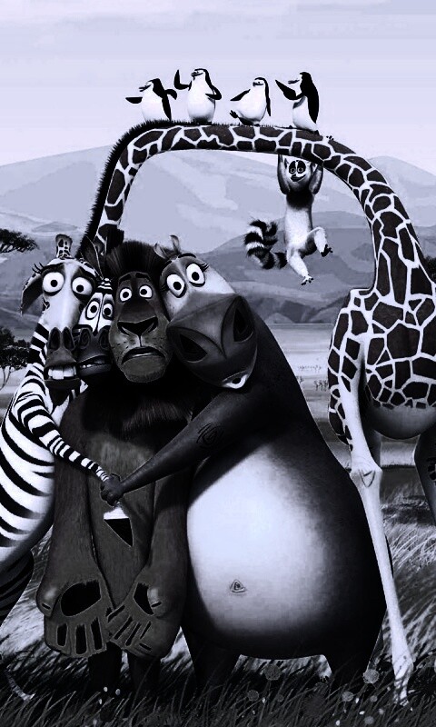 Герои мультфильма Мадагаскар обои