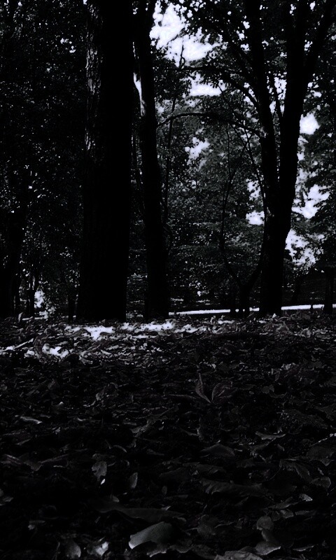 Ранняя осень обои