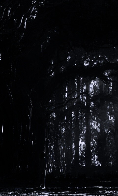 Одна в сумеречном лесу обои