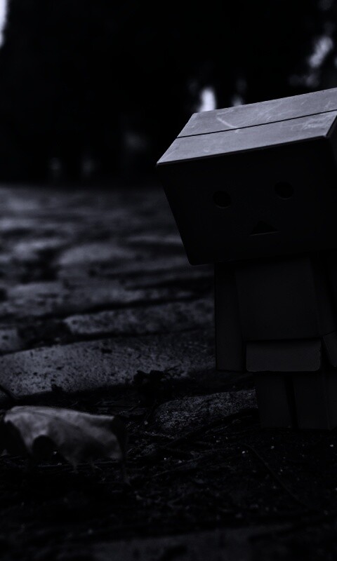 Danbo и первый осенний лист обои