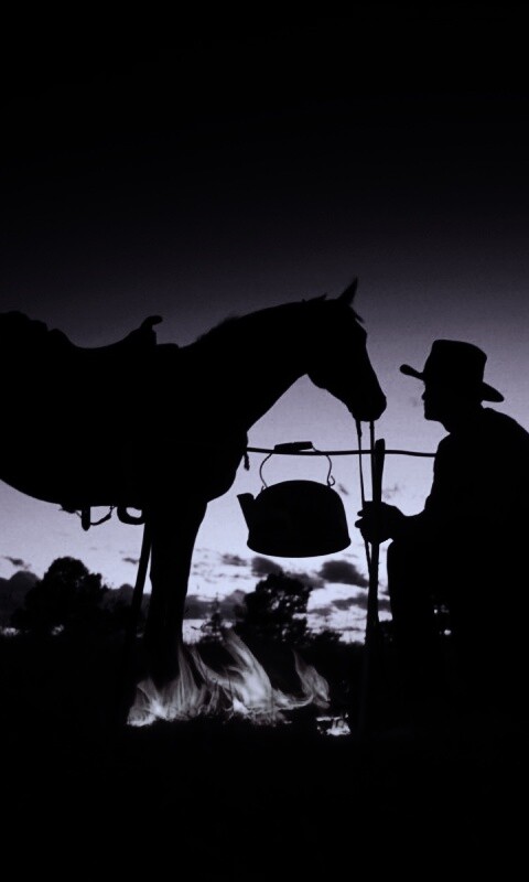 Ковбой на привале обои