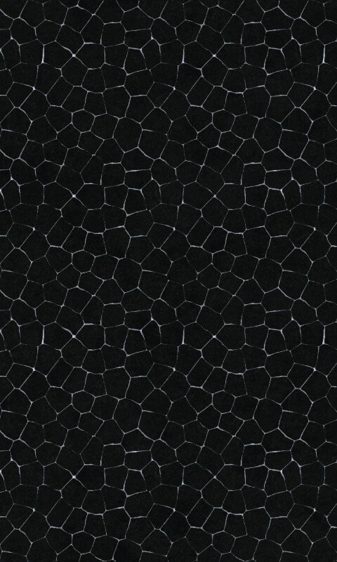 Зелёные сегменты обои