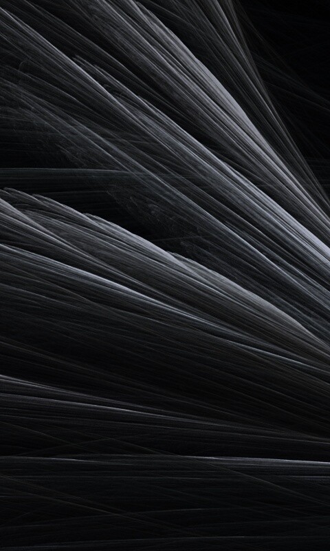 Прозрачные зеленоватые крылья обои