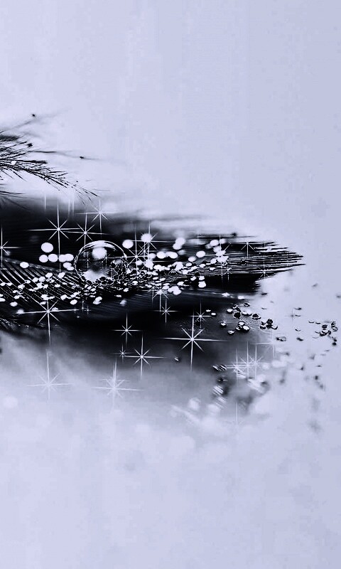 Волшебное перо обои