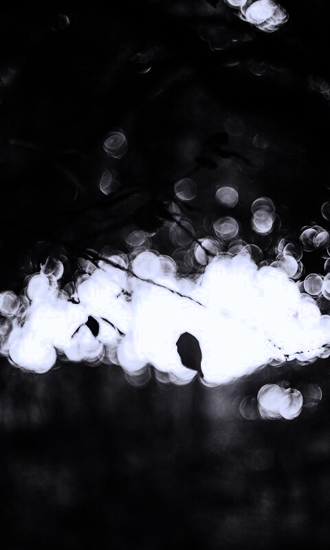 Размытый свет в парке обои