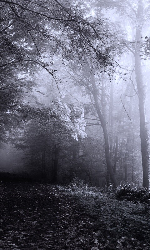 Осенний мистический пейзаж обои