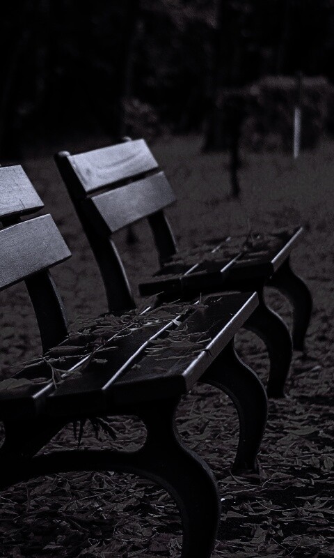 Лавочки в осеннем парке обои