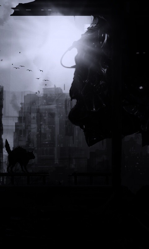 Кошкино удивление обои