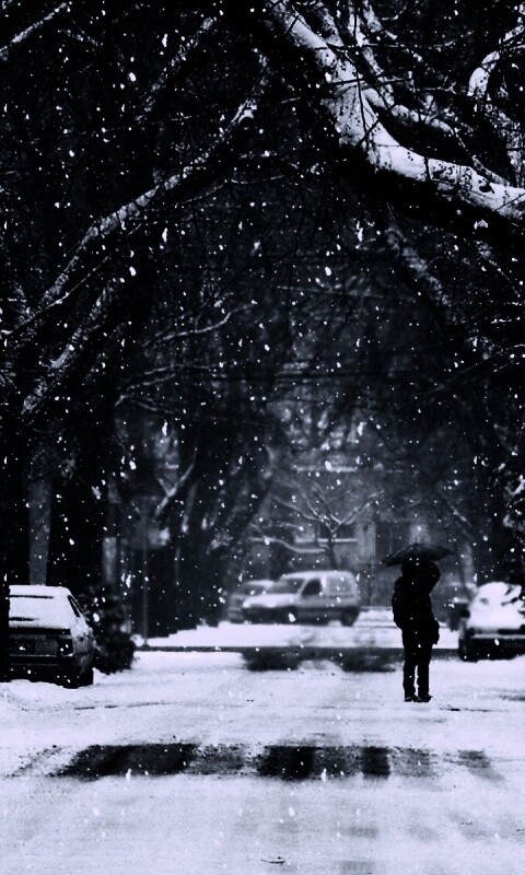 Зимняя улица обои