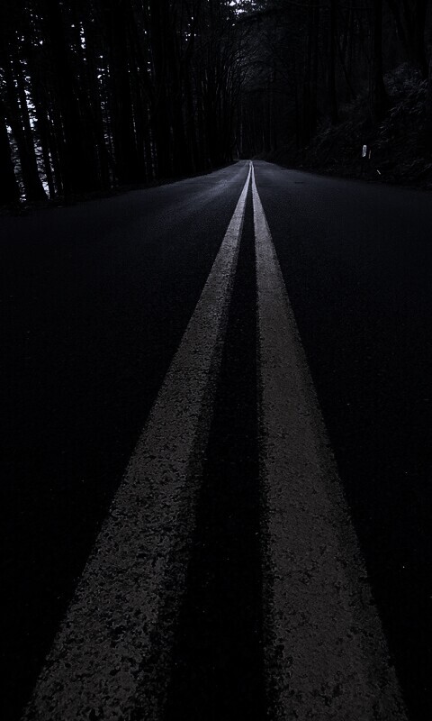 Дорога в лесу обои