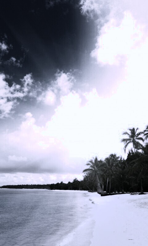 Тропическое побережье обои