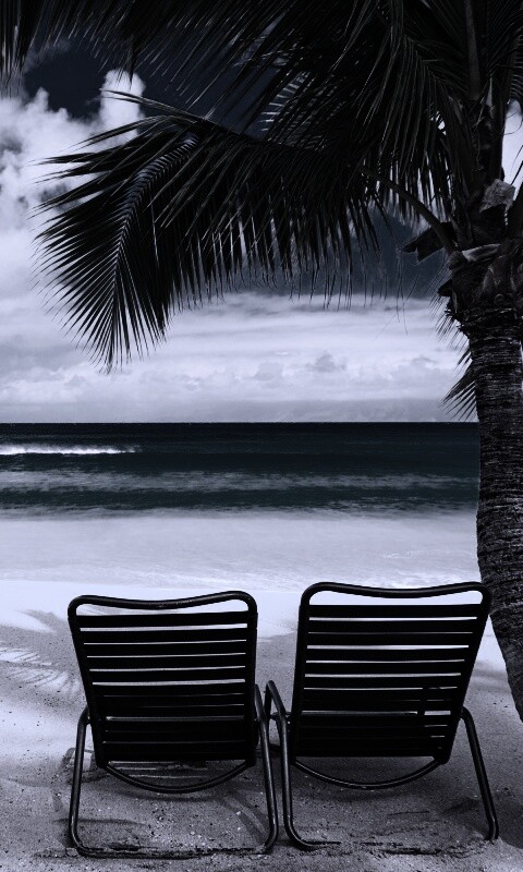 Шезлонги обои