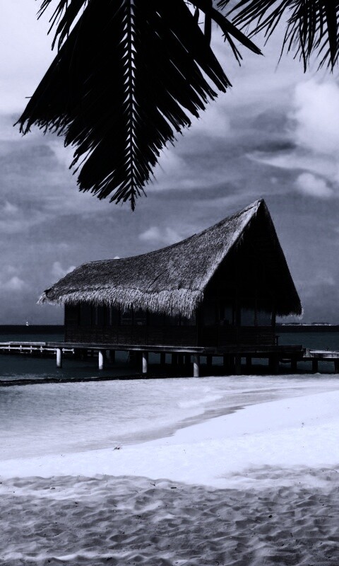 Бунгало обои