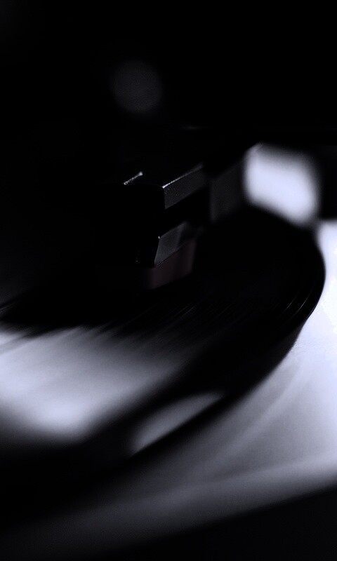 Пластинка обои