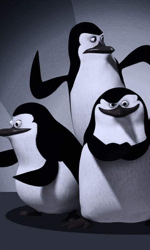 Мадагаскарские пингвины обои