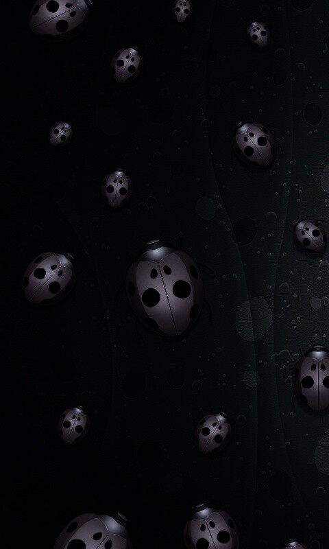 Божьи коровки обои